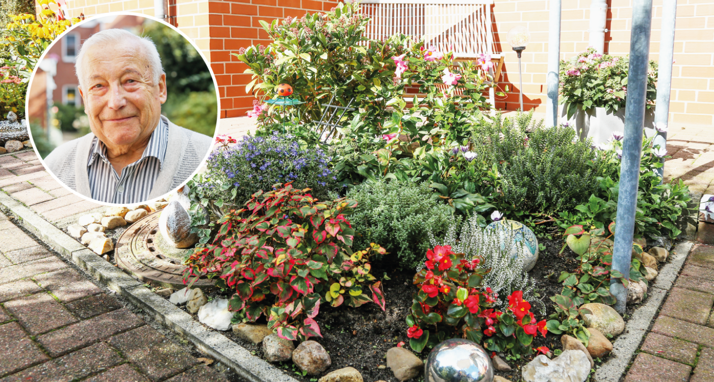 Georg Czerwonkas bunt gemischter Vorgarten - Hier findet jede Blume ihren Platz und darf seine sanfte Pflege genießen