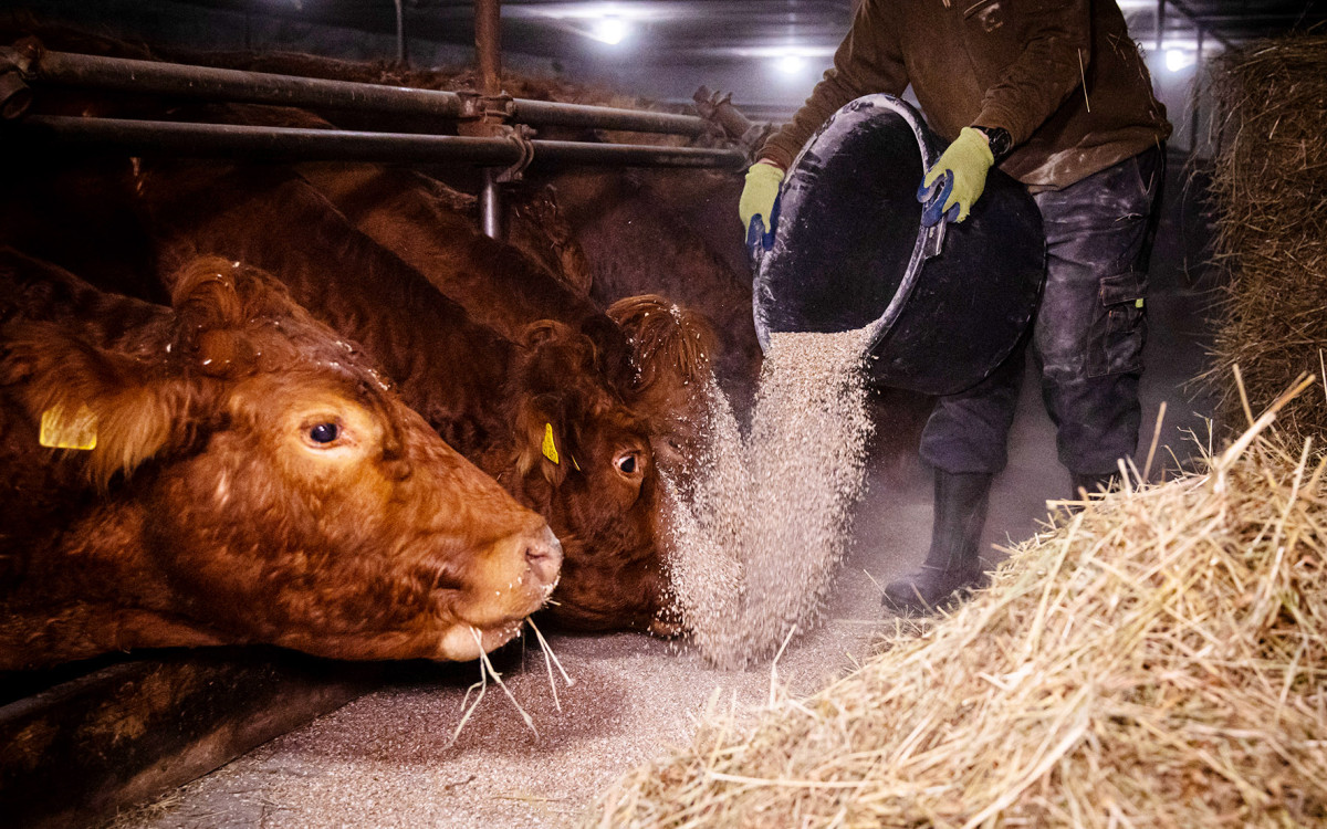 Gewerkschaft warnt - 900 Beschäftigte in Gifhorns Landwirtschaft müssen um Zusatzrente bangen