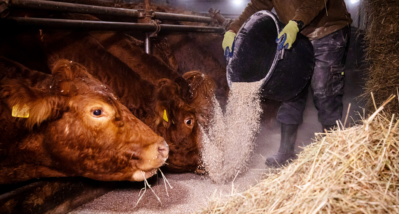 Gewerkschaft warnt - 900 Beschäftigte in Gifhorns Landwirtschaft müssen um Zusatzrente bangen