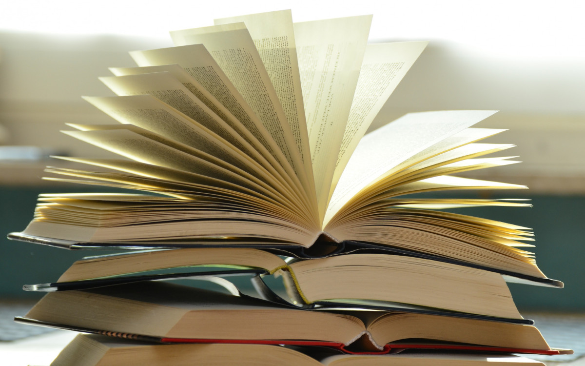 Gewinnspiel der Gifhorner Stadtbücherei: Wer kennt die Anfänge oder Textpassagen bekannter Bücher?
