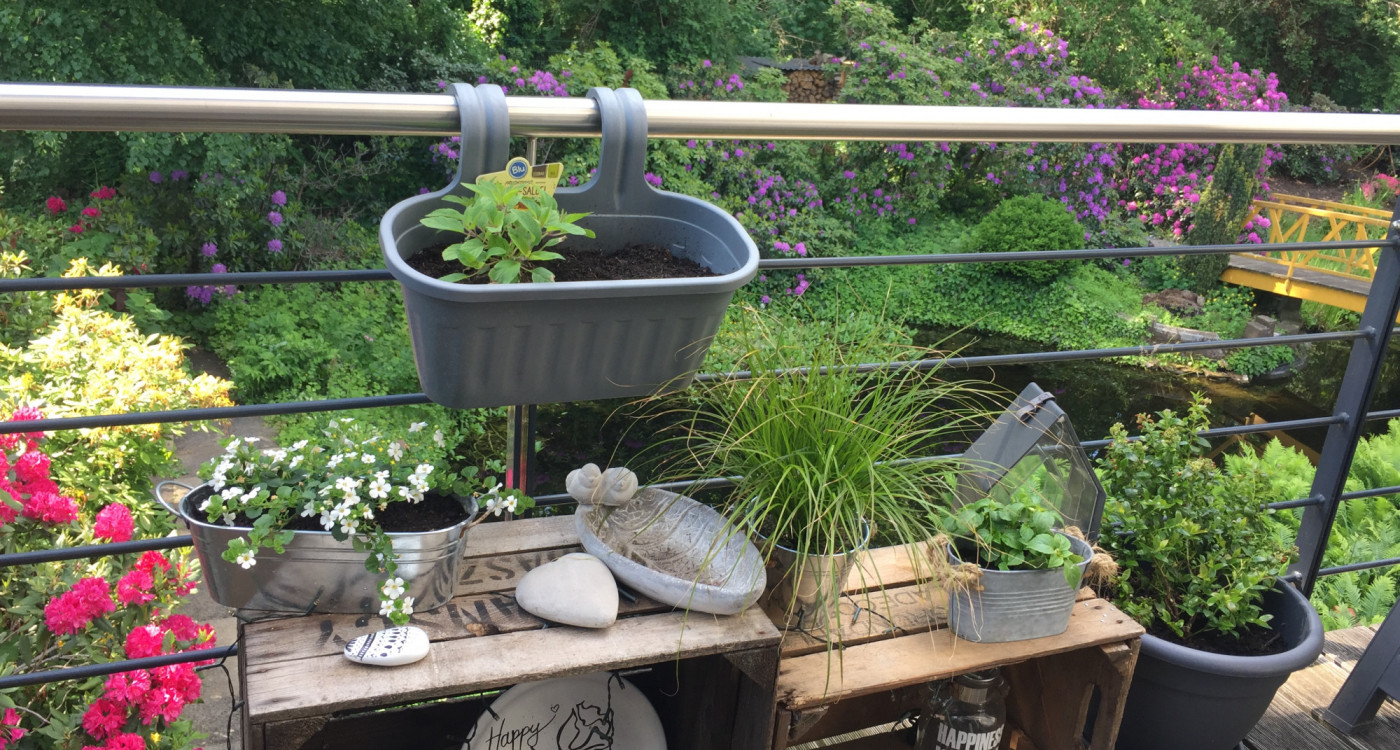 Gewinnt Gutscheine für den Gartenmarkt - Einsendungen für den 1. Gifhorner Balkon-Wettbewerb bis 10. September möglich