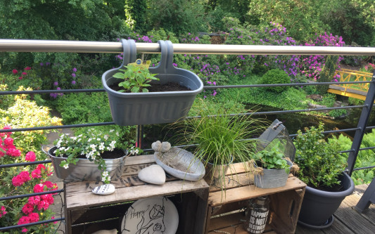 Gewinnt Gutscheine für den Gartenmarkt - Einsendungen für den 1. Gifhorner Balkon-Wettbewerb bis 10. September möglich