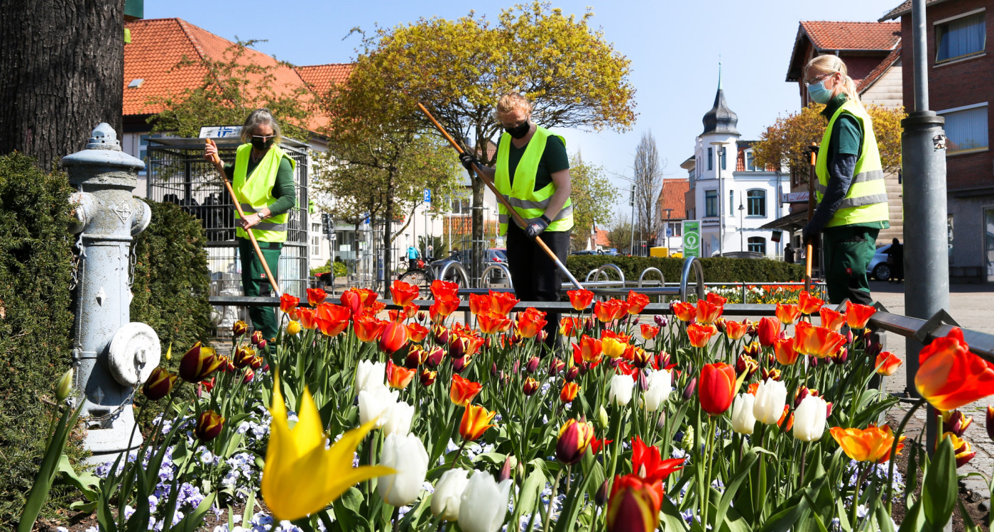 Gifhorn weckt die Frühlingsgefühle - Zeigt uns Eure schönsten Blumenbilder!
