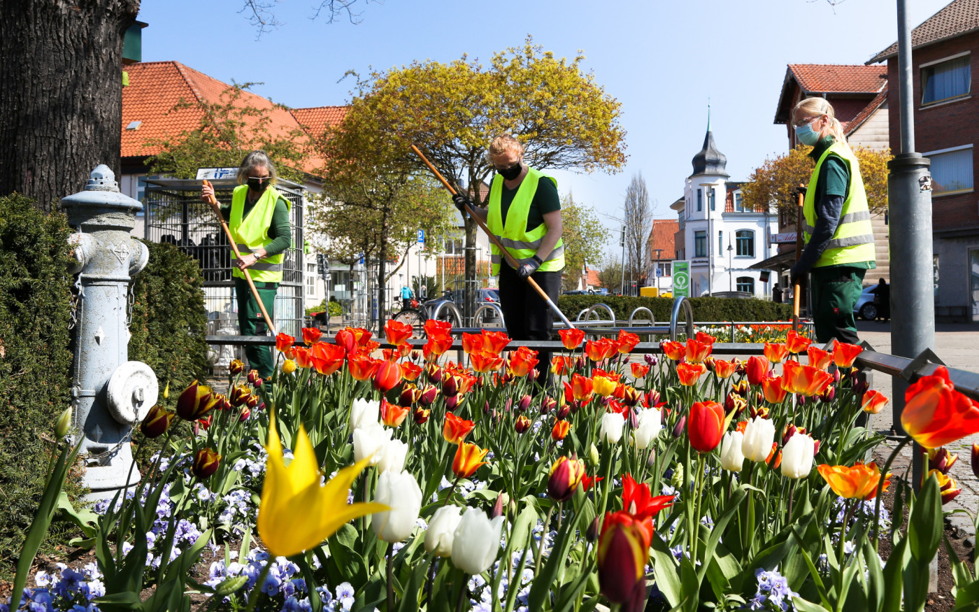 Gifhorn weckt die Frühlingsgefühle - Zeigt uns Eure schönsten Blumenbilder!