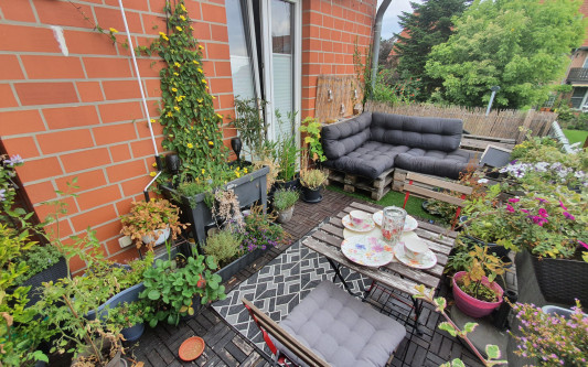 Gifhorner Balkon-Wettbewerb 2022: Zeigt noch bis zum 31. August Eure Blumen und gewinnt tolle Preise!