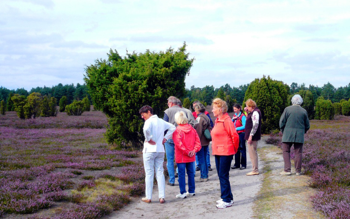 Gifhorns Heide blüht - Meldet Euch jetzt für die geführten Touren an