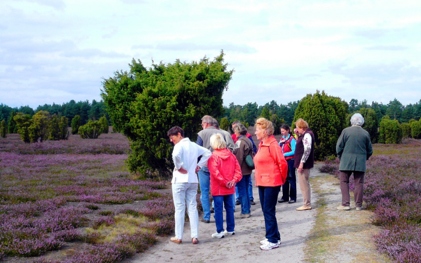 Gifhorns Heide blüht - Meldet Euch jetzt für die geführten Touren an
