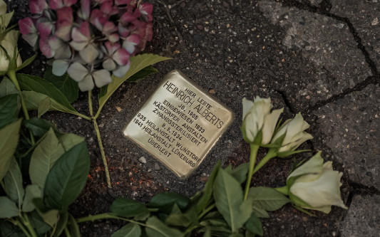 Gifhorns Nazis diagnostizierten „angeborenen Schwachsinn“ - Zwangssterilisiert: Ein Stolperstein in Kästorf erinnert nun an Heinrich Alberts