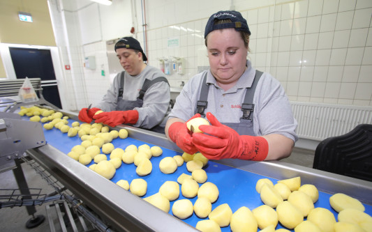Groß- und Privatkunden vertrauen der Schälerei: Tonnenweise Kartoffeln und Zwiebeln verlassen wöchentlich die Lebenshilfe