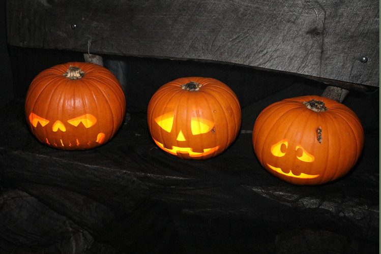 Große KURT-Bildergalerie: So schaurig-schön feiert Gifhorn Halloween