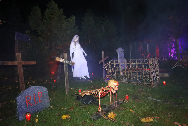 Große KURT-Bildergalerie: So schaurig-schön feiert Gifhorn Halloween