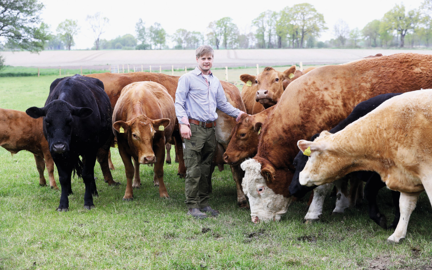 Grüne Weide und saftiges Gras für glückliche Kühe: Was artgerechte Tierhaltung ist, zeigt Marcel Behrens in Helmerkamp bei Celle