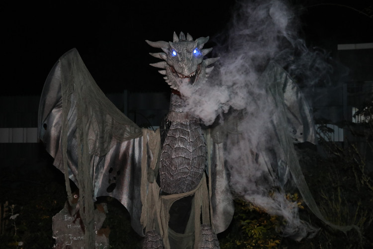 Gruseln bei den Heucherts: KURT zeigt Euch die schönsten Halloween-Fotos aus dem Großen Kamp in Gifhorn