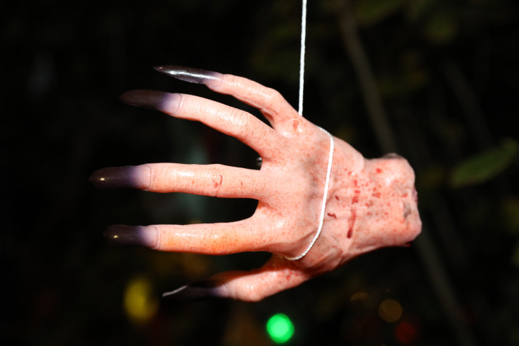 Gruseln bei den Heucherts: KURT zeigt Euch die schönsten Halloween-Fotos aus dem Großen Kamp in Gifhorn