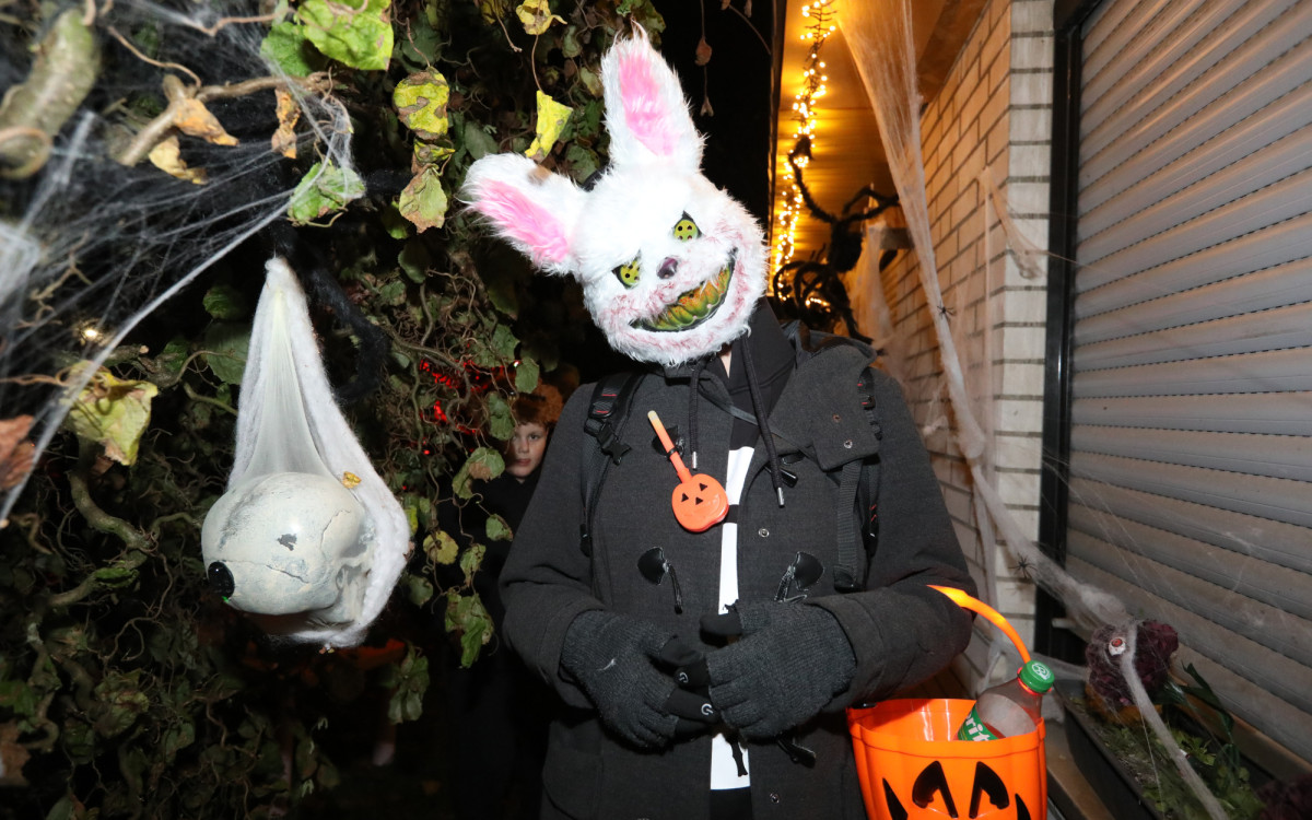 Gruseln bei den Heucherts: KURT zeigt Euch die schönsten Halloween-Fotos aus dem Großen Kamp in Gifhorn