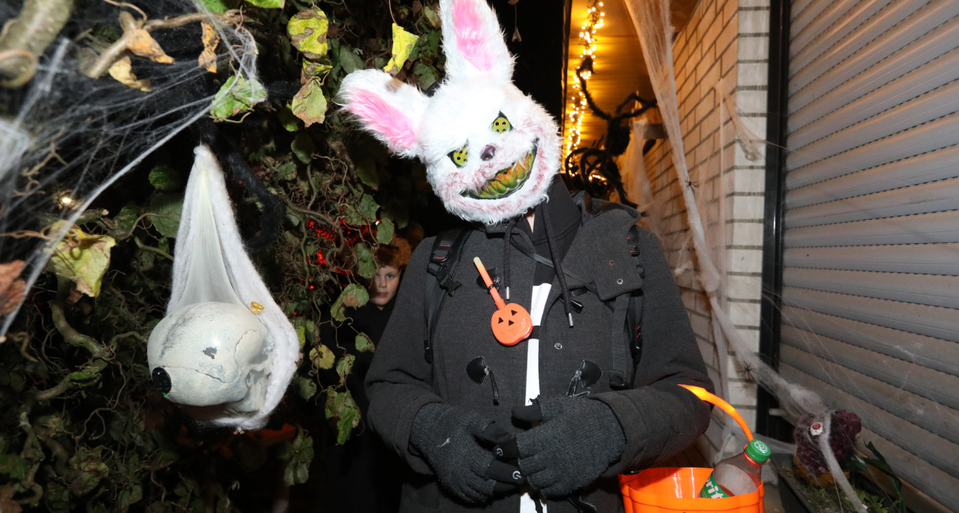 Gruseln bei den Heucherts: KURT zeigt Euch die schönsten Halloween-Fotos aus dem Großen Kamp in Gifhorn
