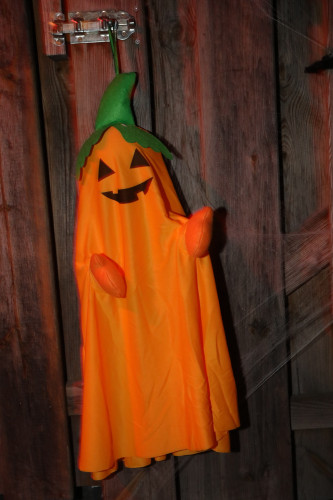 Gruseln bei den Heucherts: KURT zeigt Euch die schönsten Halloween-Fotos aus dem Großen Kamp in Gifhorn