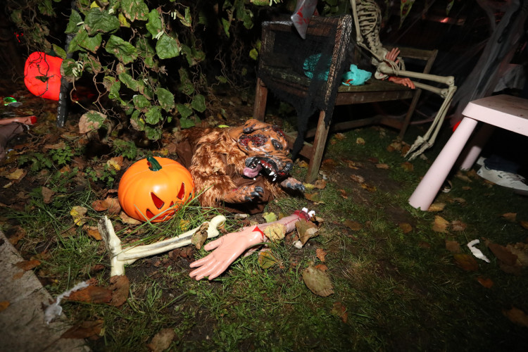 Gruseln bei den Heucherts: KURT zeigt Euch die schönsten Halloween-Fotos aus dem Großen Kamp in Gifhorn