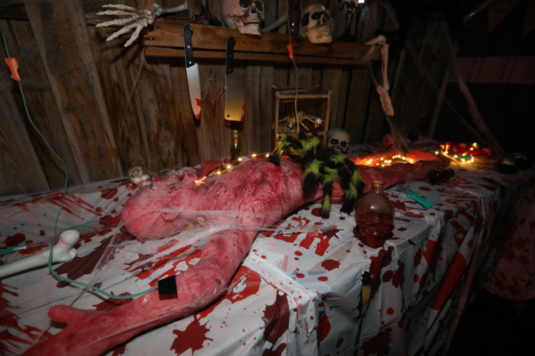 Gruseln bei den Heucherts: KURT zeigt Euch die schönsten Halloween-Fotos aus dem Großen Kamp in Gifhorn