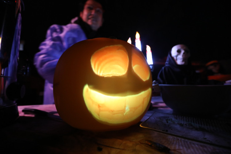 Gruseln bei den Heucherts: KURT zeigt Euch die schönsten Halloween-Fotos aus dem Großen Kamp in Gifhorn