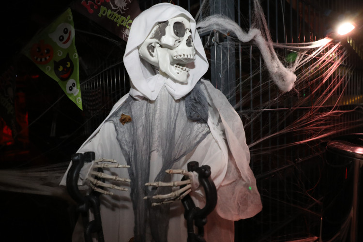 Gruseln bei den Heucherts: KURT zeigt Euch die schönsten Halloween-Fotos aus dem Großen Kamp in Gifhorn