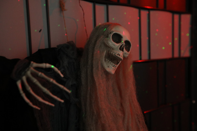 Gruseln bei den Heucherts: KURT zeigt Euch die schönsten Halloween-Fotos aus dem Großen Kamp in Gifhorn