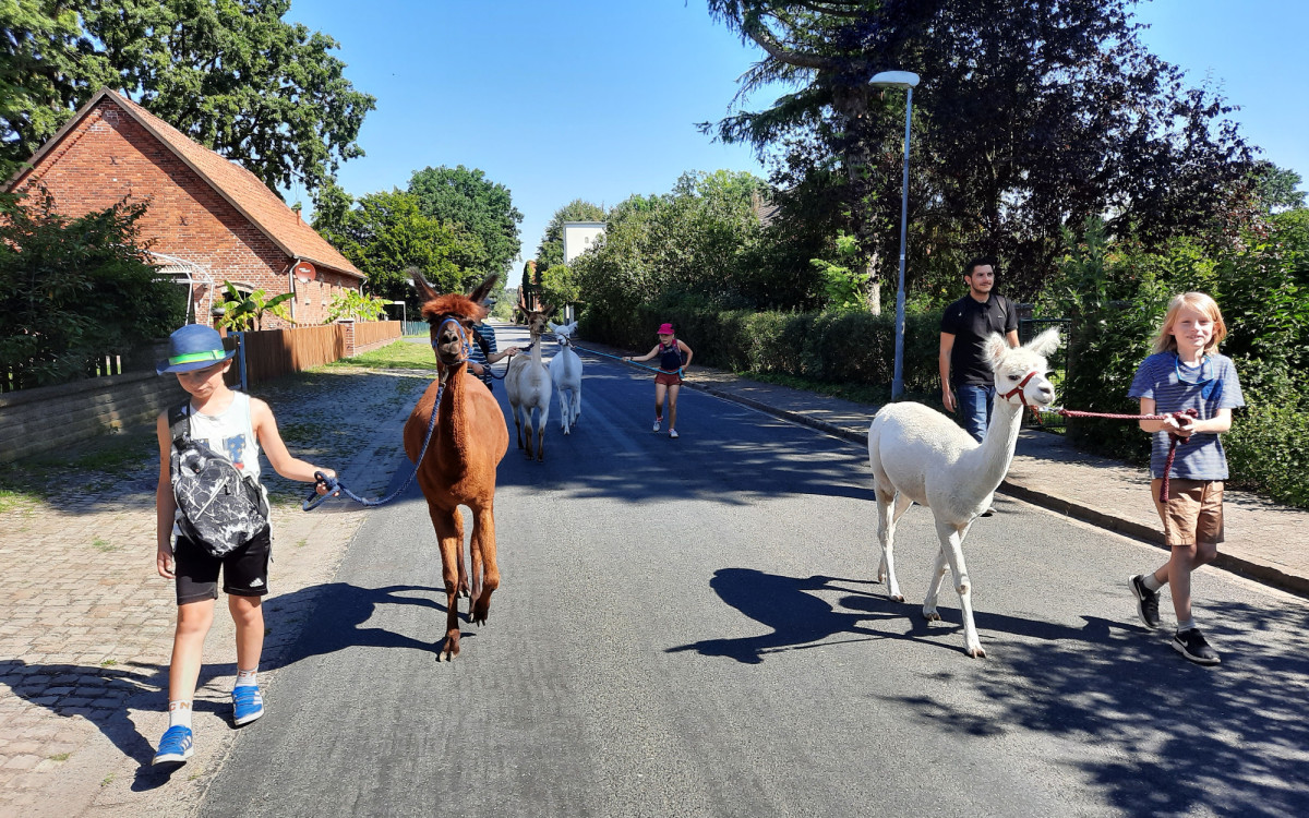 Halbzeit Sommerferienspaß - Tolle Freizeitangebote für Gifhorns Kinder trotz Corona