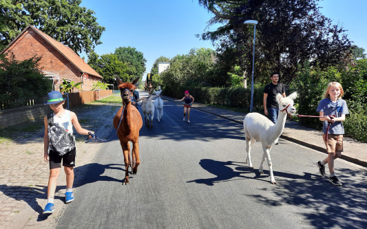 Halbzeit Sommerferienspaß - Tolle Freizeitangebote für Gifhorns Kinder trotz Corona