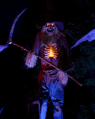Halloween im Landkreis Gifhorn: Alle Spukhäuser und Gruselgärten auf einen Blick