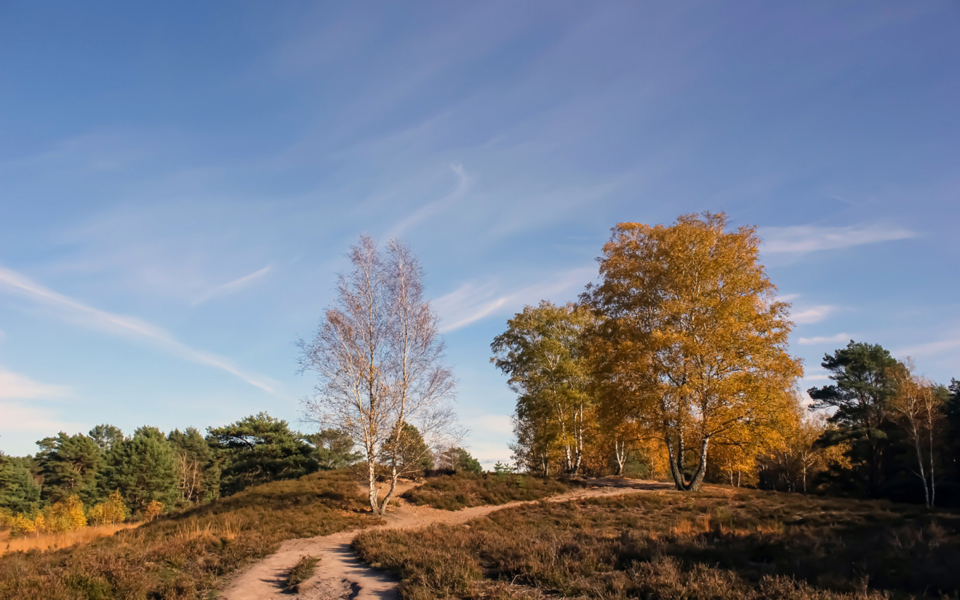 Herbst-Erlebnisse im Landkreis Gifhorn: Die Tourismusgesellschaft Südheide Gifhorn empfiehlt Sport und Museumsbesuche