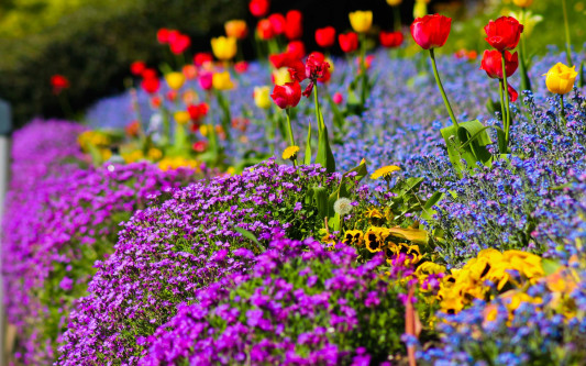 Herrliche Einblicke in viele kleine Paradiese: Bis September lassen sich in Gifhorn und Wolfsburg Offene Gärten bestaunen
