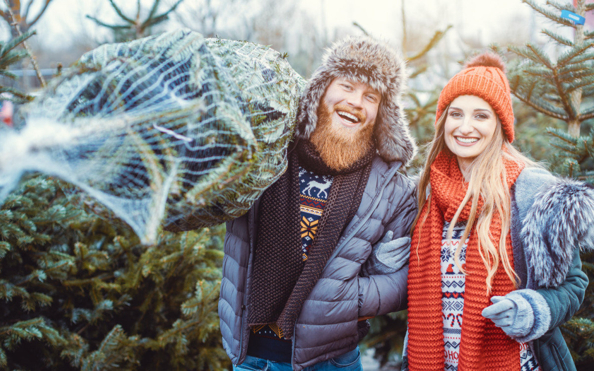 Hier endet Eure Suche nach dem schönsten Baum: Kuhls aus Neubokel versorgt Euch mit der Traum-Tanne