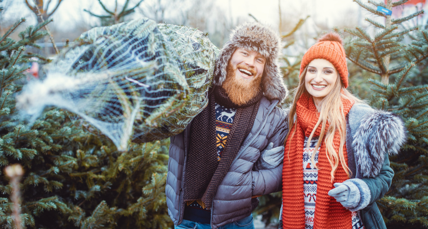 Hier endet Eure Suche nach dem schönsten Baum: Kuhls aus Neubokel versorgt Euch mit der Traum-Tanne