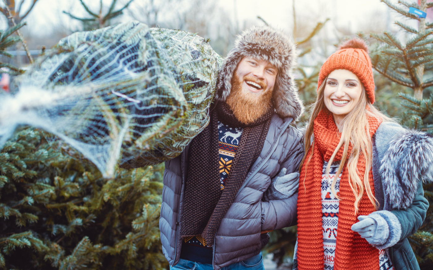 Hier endet Eure Suche nach dem schönsten Baum: Kuhls aus Neubokel versorgt Euch mit der Traum-Tanne