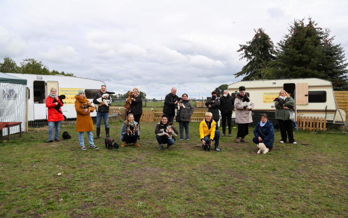 Hier fühlen sich Dackel und Chihuahua pudelwohl: Ausnahmslos für kleine Hunde ist der Hundespielplatz an Gifhorns BGS-Siedlung
