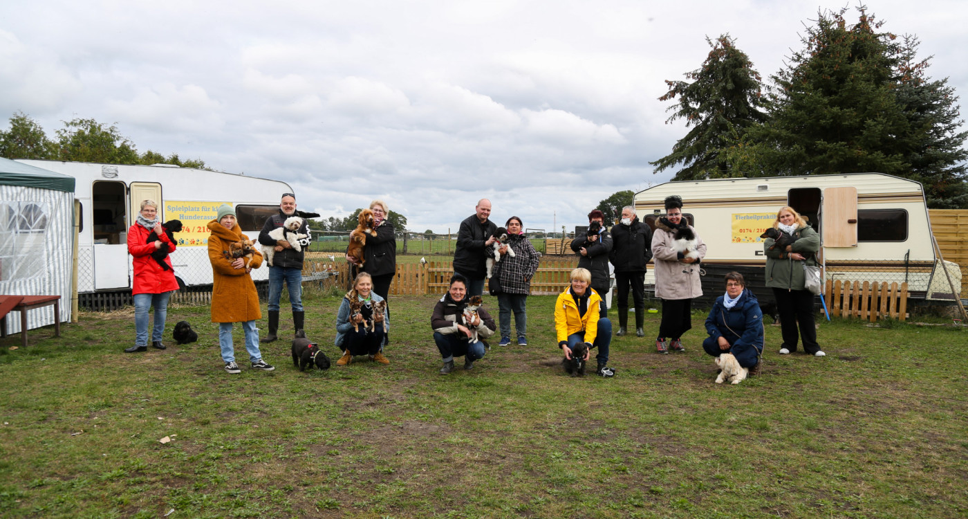 Hier fühlen sich Dackel und Chihuahua pudelwohl: Ausnahmslos für kleine Hunde ist der Hundespielplatz an Gifhorns BGS-Siedlung