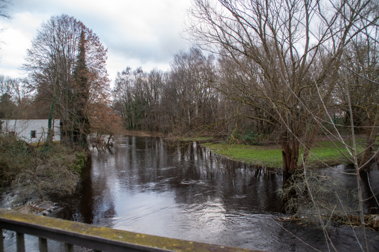 Hochwasser in der Stadt Gifhorn: Das sind aktuelle Bilder