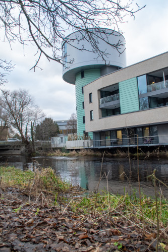 Hochwasser in der Stadt Gifhorn: Das sind aktuelle Bilder