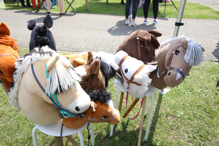 Hunderte Leute ließen sich das Sportfest All Inklusive an der Flutmulde nicht entgehen - Das sind die schönsten Bilder