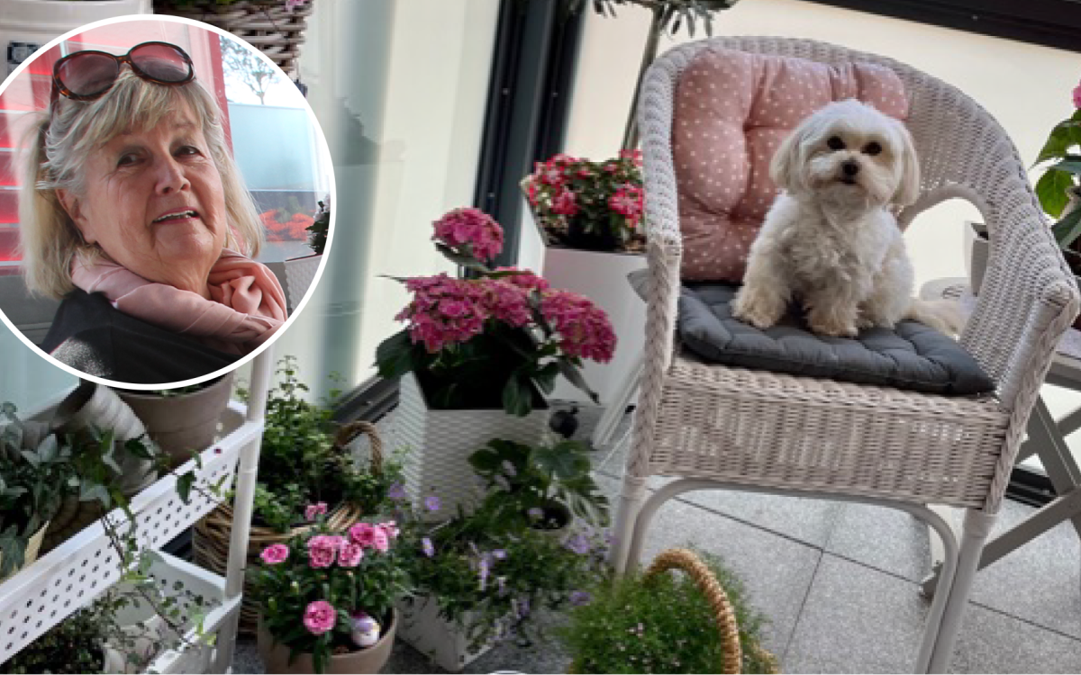 Hündin Cookie fühlt sich pudelwohl - Der Balkon von Gisela John besticht durch mediterranes Ambiente