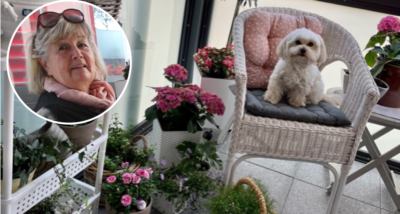 Hündin Cookie fühlt sich pudelwohl - Der Balkon von Gisela John besticht durch mediterranes Ambiente