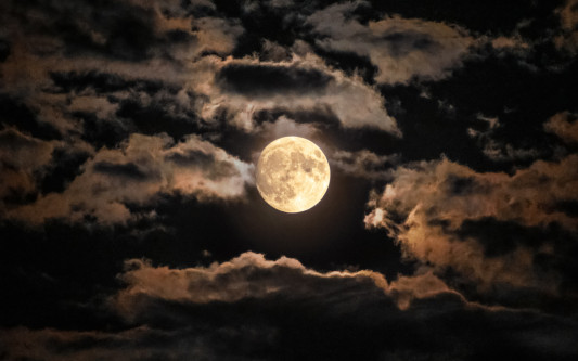 Im Heiligen Hain bei Vollmond wandern: Jetzt anmelden für dreistündiges Naturerlebnis bei Betzhorn am 29. Juli