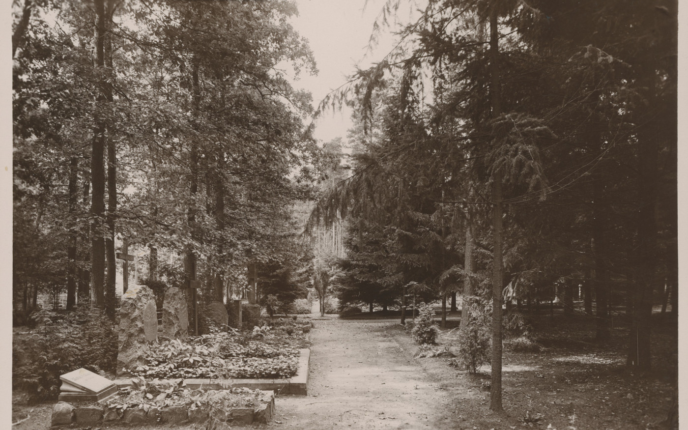 In Absprache mit der Cousine verstümmelt: Kurt Reinhardt kam als 32-jähriger „jugendlicher Sieche“ ins Altenheim Hagenhof