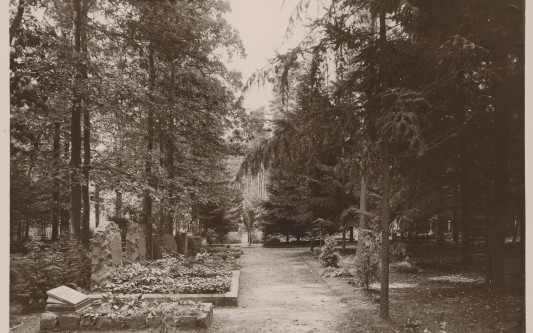 In Absprache mit der Cousine verstümmelt: Kurt Reinhardt kam als 32-jähriger „jugendlicher Sieche“ ins Altenheim Hagenhof