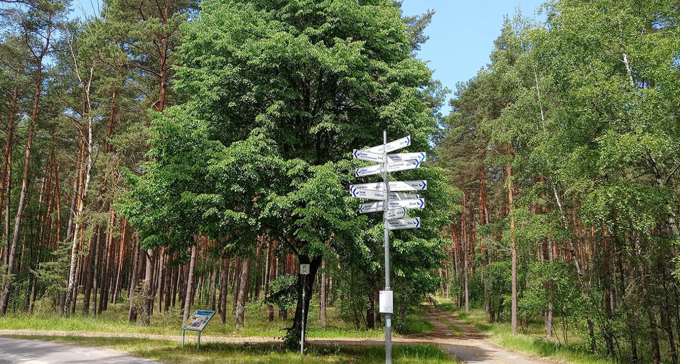 In der Sassenburg ist man mittendrin: Bürgermeister Jochen Koslowski preist Naherholung, Natur treffen und stadtnahes Wohnen