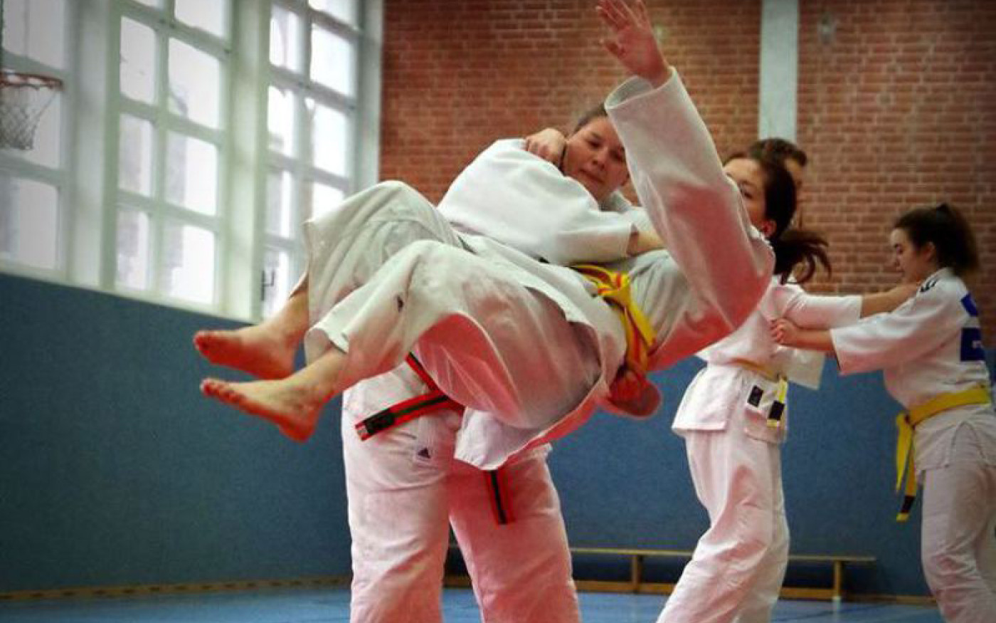 Judo und Bujinkan beim MTV Gifhorn – eine Schule für den Charakter
