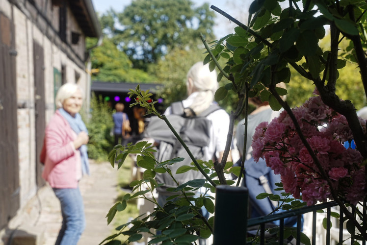 Junior-Altstadtfest, Ballett, Kulturverein-Geburtstag, Live-Musik und mehr: So sieht ein vergnügter Nachmittag auf Gifhorns Altstadtfest aus – mit großer KURT-Bildergalerie