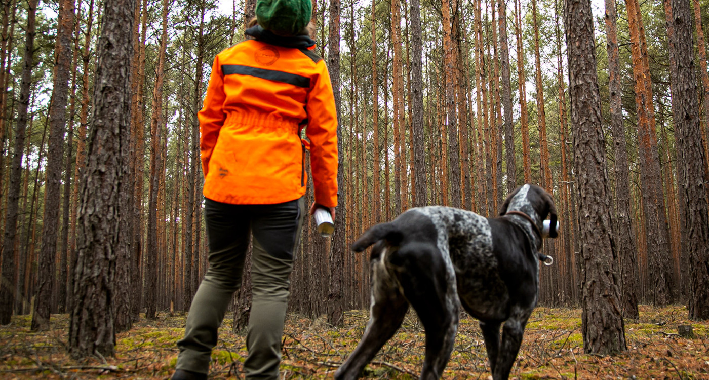 Klimageschädigter Wald - Gewerkschaft fordert mehr Forstpersonal im Kreis Gifhorn