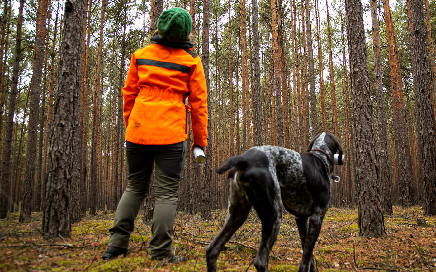 Klimageschädigter Wald - Gewerkschaft fordert mehr Forstpersonal im Kreis Gifhorn
