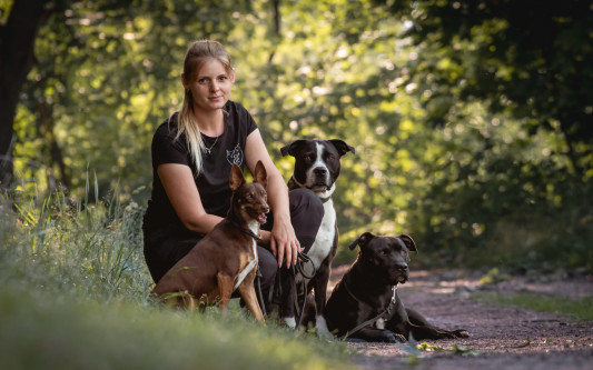 Kostenfrei für Bedürftige: Für diesen Sonntag laden die Gifhorner Tiertafel und die Hundeschule Casus Canis zum Workshop ein